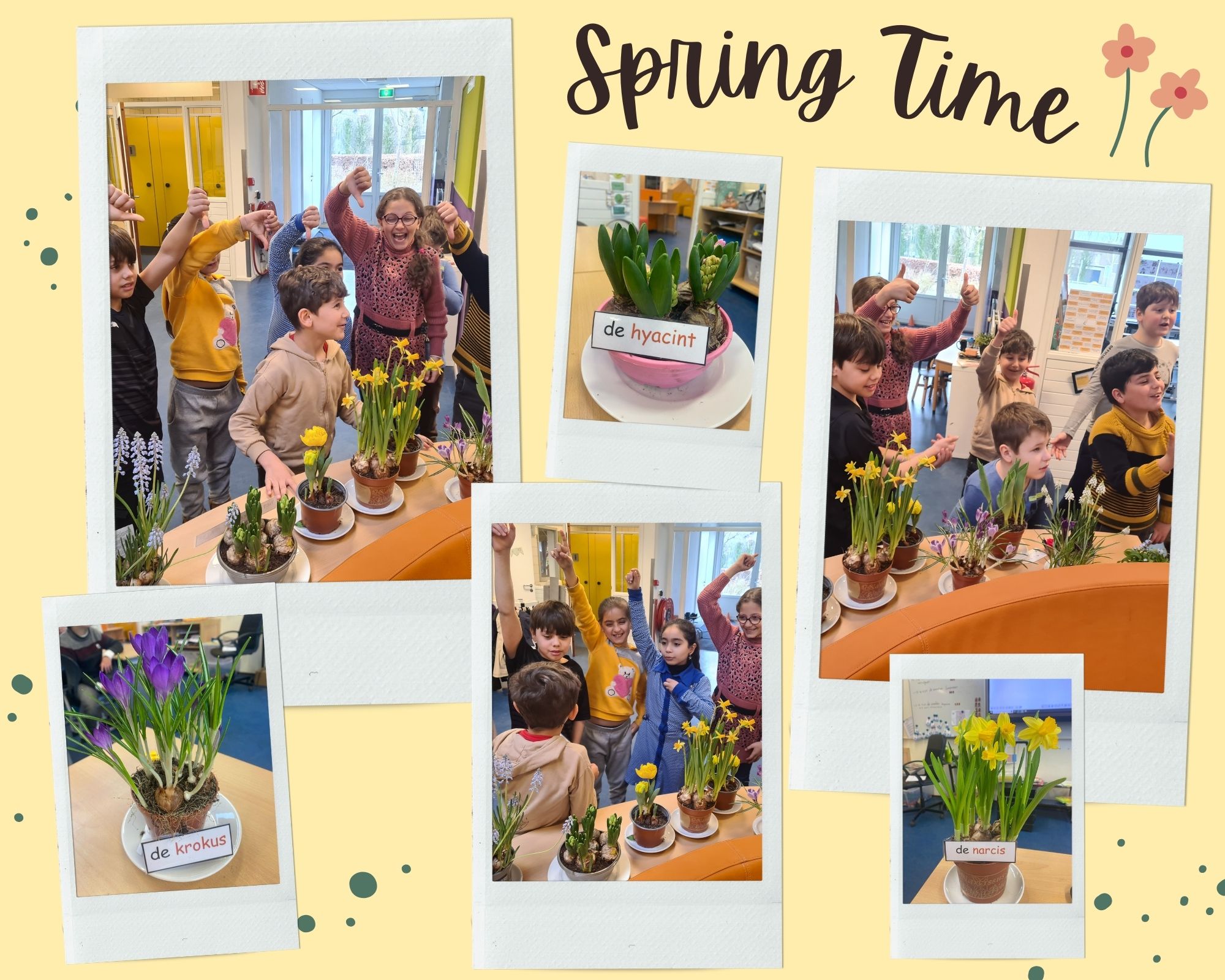 Wij halen de lente alvast naar binnen…🌷 🌞 Weet jij hoe elke plant heet? 

De leerlingen van de taalgroep mochten daar, spelenderwijs, mee oefenen. Een voor een mocht een leerling het naamkaartje bij de juiste plant leggen. De rest mocht laten zien of het goed was. Een leuke, interactieve en coöperatieve werkvorm waarbij iedereen mee kan doen en ook nog eens met taal bezig is. En zeg nou zelf; het fleurt onze school toch ook nog eens leuk op? 🥰

#kindcentrumjij #terheijden #gemeentedrimmelen #basisschool #lente #taalgroep #taal #bezigzijnmettaal #taalles #coöperatiefleren #onderwijs